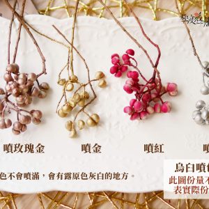 顏色二_烏桕 拷貝