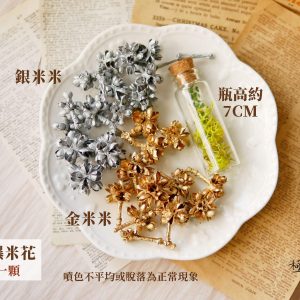 顏色二_爆米花 拷貝6YJ6