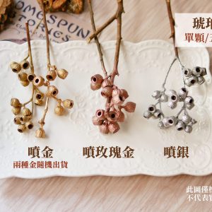 顏色二_琥珀果 拷貝