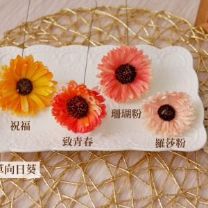 顏色二_蓪草向日葵 拷貝