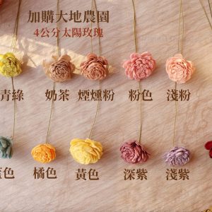 顏色加購_長枝199材料包