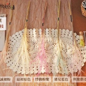 顏色規格_羽毛草