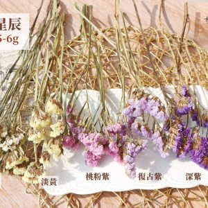 顏色規格_乾燥星辰 拷貝
