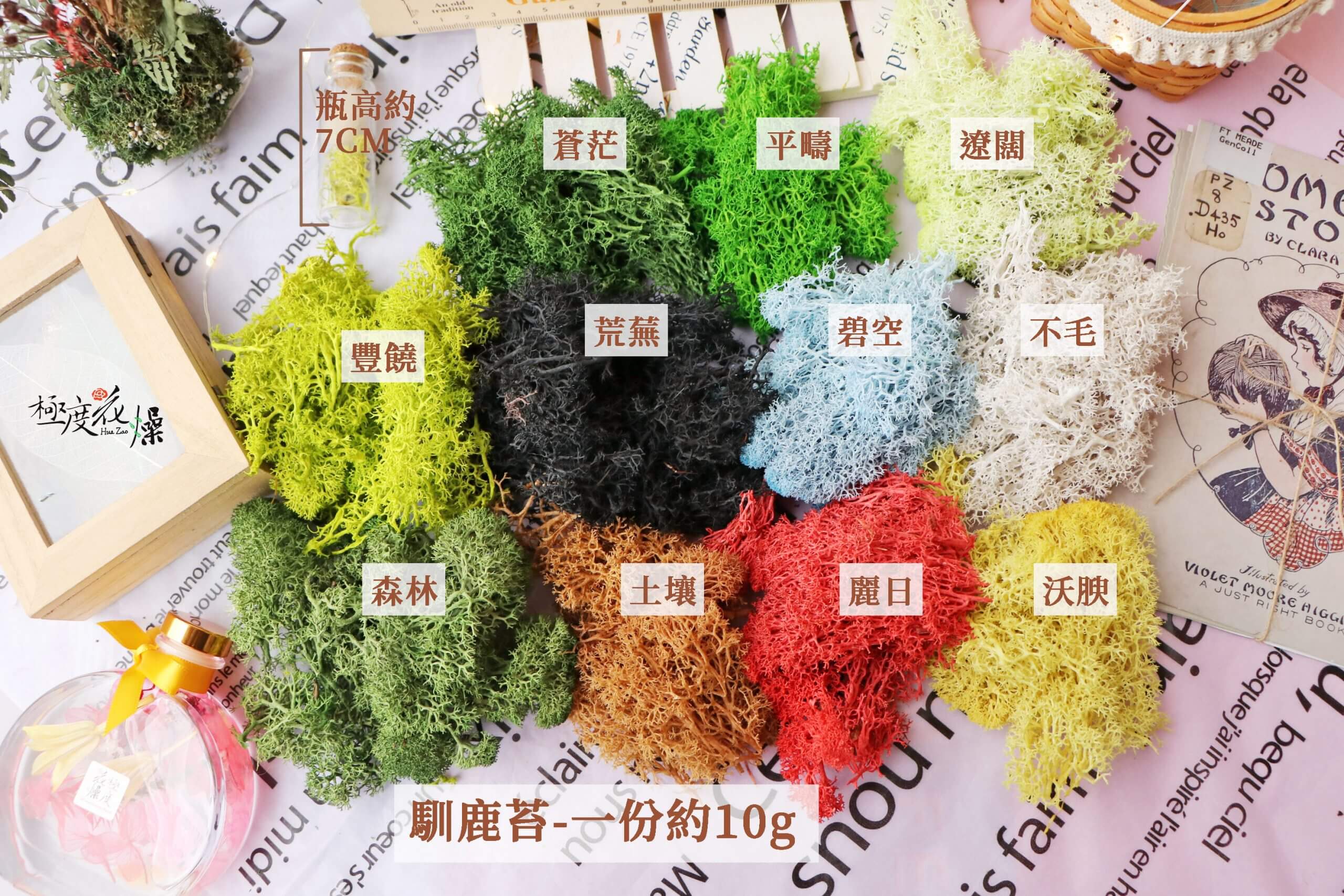 顏色規格_馴鹿苔