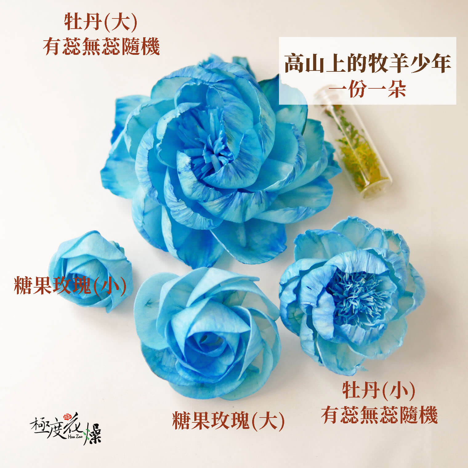 高山上的牧羊少年_水染蓪草花