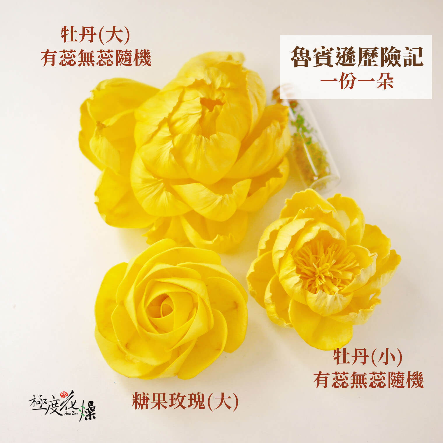 魯賓遜歷險記_水染蓪草花