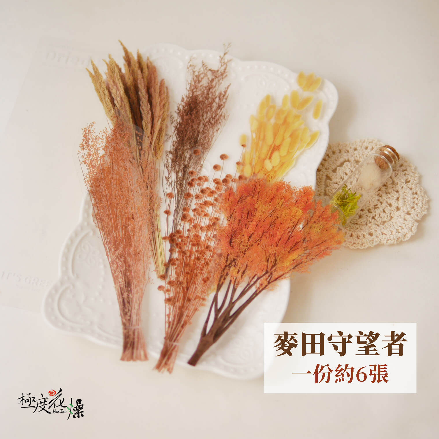 麥田守望者_透明貼紙